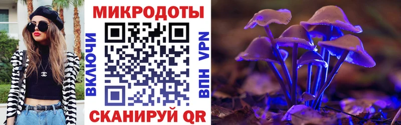 Псилоцибиновые грибы GOLDEN TEACHER  Купить закладки  Вяземский 